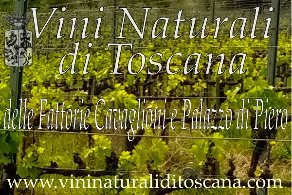 logo-vini-naturali-600x400 logo-vini-naturali-600x400